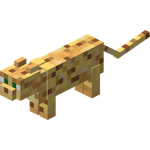 Ocelot