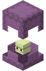 Shulker