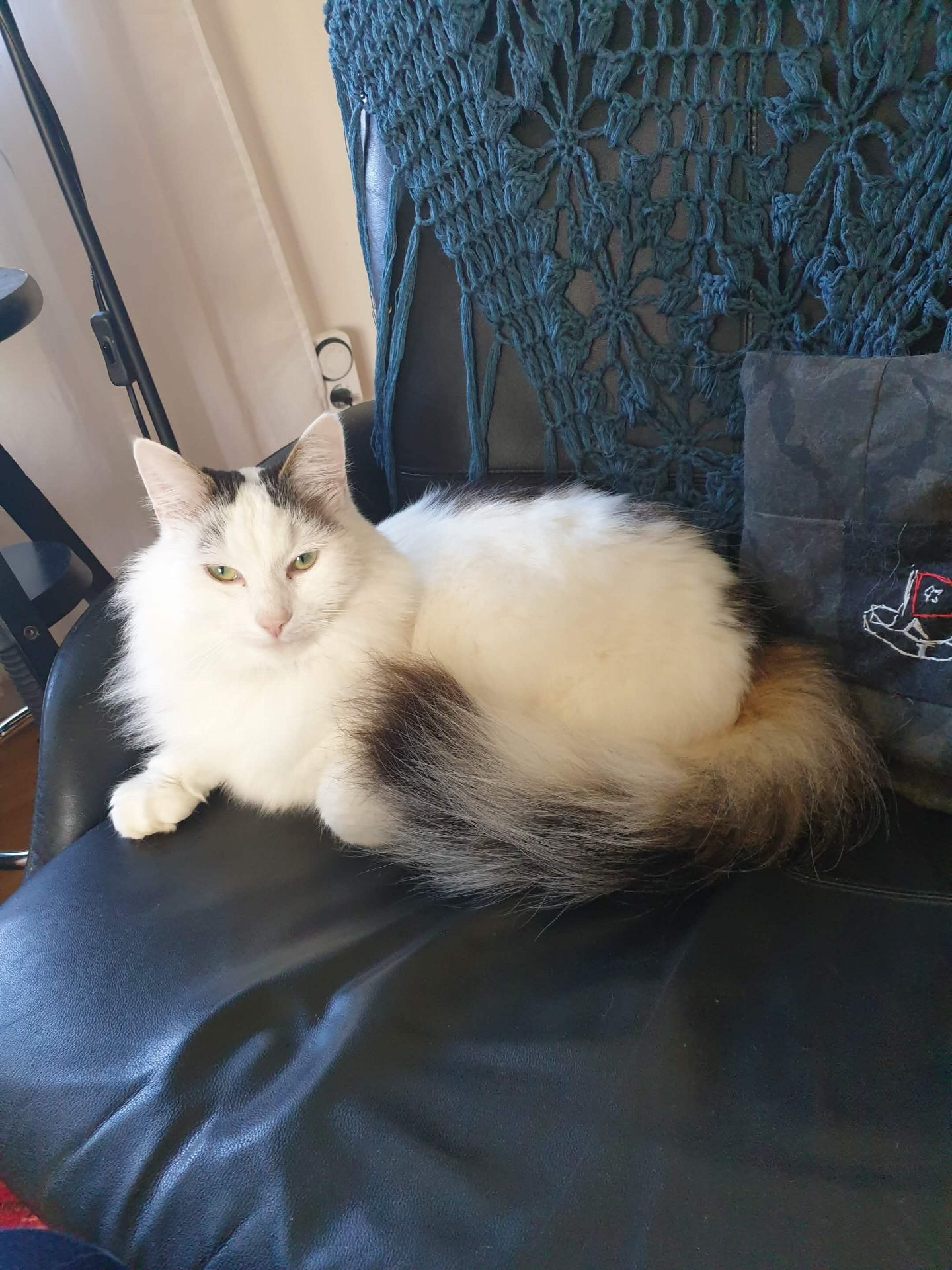 Snowie