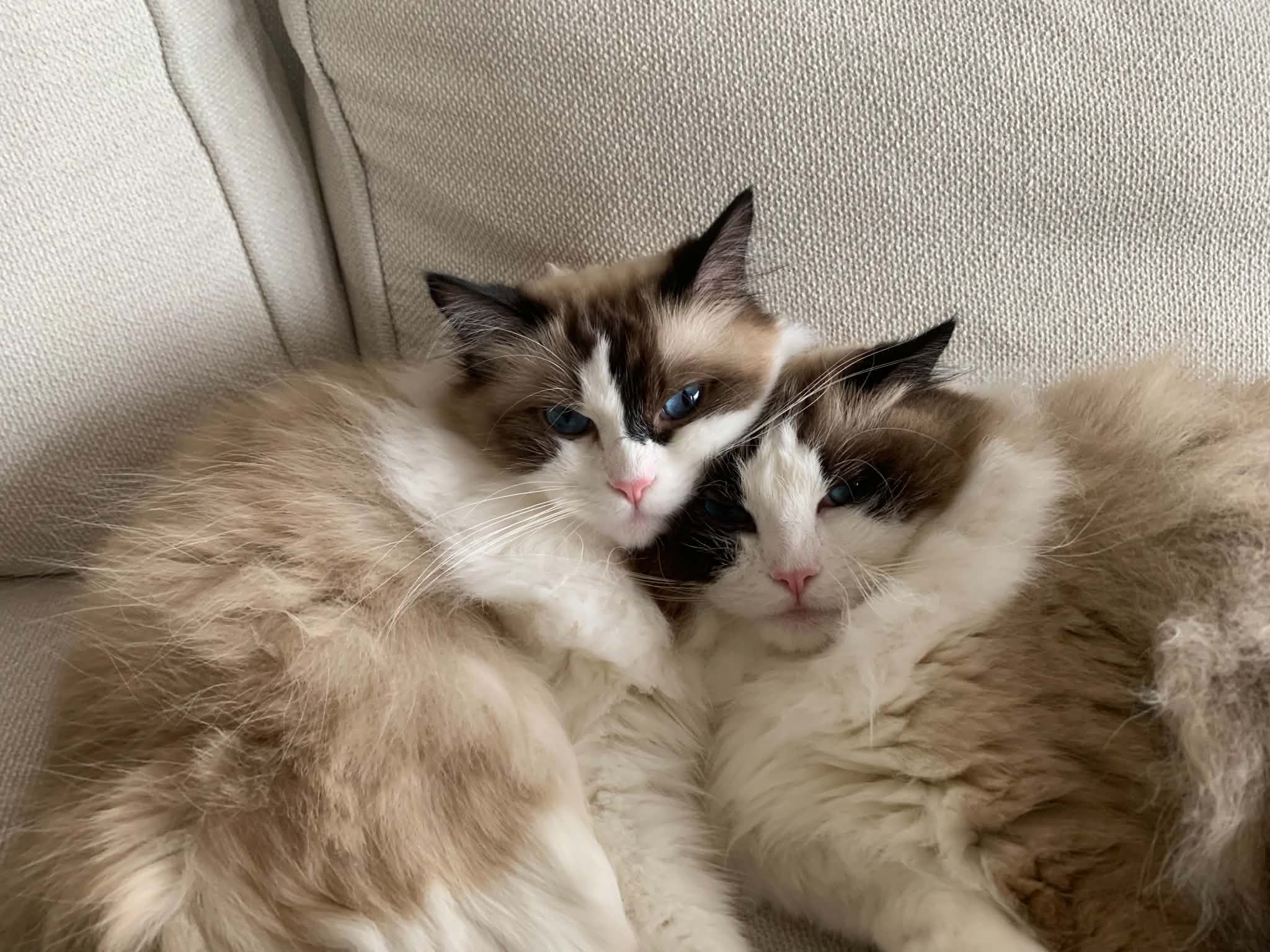 Ester & Aston